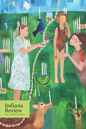 Cover of Indiana Review by Nereida Garcia Ferraz